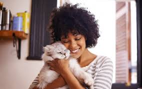 Patrick's day, maybe dress your cat in green clover. International Hug Your Cat Day Jester Plaza Veterinary Clinic