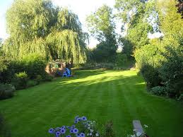 Advanced lawn care and landscaping. Regular Garden Maintenance Wildwood Horticulture