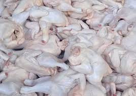 Baik itu ayam kampung atau ayam broiler,semuanya memiliki keuntungan sendiri sendiri, misalnya dari ayam kampung, jika kita akan menjualnya harganya pun menjadi sangatlah mahal. Cek Harga Ayam Broiler Hari Ini Langsung Dari Peternak Aplikasi Pertanian Media Agribisnis Gdm Agri