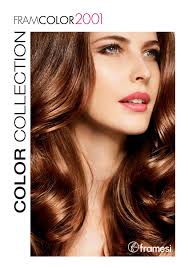 Framcolor 2001 Collection Folder Professional Hairstyles
