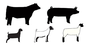 Building on the nike air jordan 1 retro high og shadow from 2018 and the original 1985. 31 Sign Ideas Goats In 2021 Goats Goat Art Goat Farming