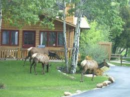 Estes Park Cabins Colorado Cabin Rentals Streamside On Fall River Estes Park Colorado Travel Estes Park Lodging