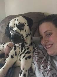 Happy National Puppy Day from the Summit Dals! Pic is from almost 3 years  ago.