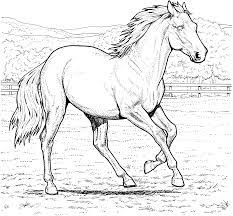 Your child will love coloring his favorite zoo animals. Free Printable Horse Coloring Pages For Kids