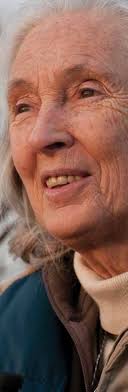 Community-Led Conservation 4 Forest Protection and Restoration 8 Roots &  Shoots 10 Animal Welfare 14 One Health 18 Sc