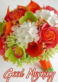 Check spelling or type a new query. Good Morning Flowers Good Morning Love Nature Rose Roses Hd Mobile Wallpaper Peakpx
