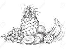 Download now hitam dan putih tangan ditarik sketsa garis lukisan buah buahan. Gambar Lukisan Buah Buahan Hitam Putih Cikimm Com