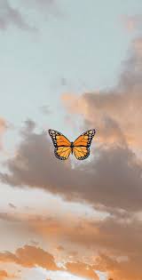 Pin On Beautiful In 2020 Iphone Wallpaper Tumblr Aesthetic Butterfly Wallpaper Iphone Butterfly Wallpaper