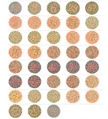 Colour Blind Test Book Ishihara 38 Plates