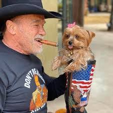 Ray Sorrell's Instagram, Twitter & Facebook