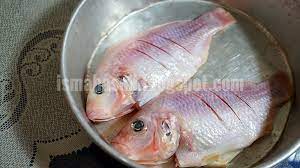 Resepi ikan talapia masak masam manis sedap mudah dan simple ikan talapia timun nenas cili api 2 biji bawang besar 5 ulas. Resepi Ikan Talapia Merah Masak Stim Resepimyresepi Boloit Com