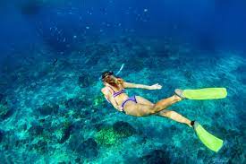 5 Best Snorkeling Beaches In Bali Bali S Best Sites For Snorkeling Go Guides