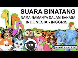 Wild Animal Animal Sounds Funny Animal Videos Animal Attack Jasmine Anak Pintar Youtube Binatang Buas Video Hewan Lucu Humor Hewan Lucu