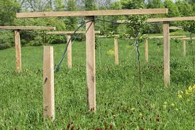 We did not find results for: Spring Planting 2016 Threefold Farm