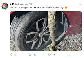 Maybe you would like to learn more about one of these? Ada Darah Menitik Bau Bangkai Rupanya Dalam Kereta Ada Ular Sawa Sebesar Lengan Lelaki Dewasa