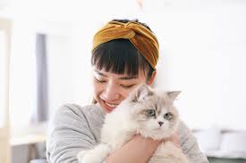 Post pictures of your cats, talk about cats, ask questions, get advice. How To Adopt A Cat In Lockdown Fostering A Cat In Quarantine