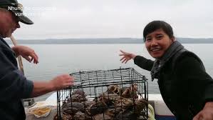 Nhung Ha cuoc song vung nui o my