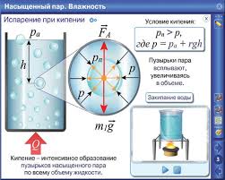 Physic Chart Chart