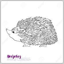 Cute hedgehogs designs to color for creativity and relaxation. Coloring Page With Lovely Hedgehog Coloring Book For Adult And Royalty Free Cliparts Vectors And Stock Illustration Image 66786138