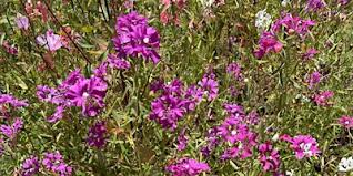 Best Science & Tech Seminar in Pasadena, CA