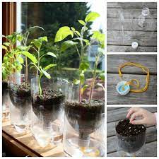 Use the scissors or dremel to cut the bottom off the plastic drink bottle to make your planter's wicking. Diy Self Watering Seed Starter Pots From Plastic Bottles Icreativeideas Com Self Watering Planter Self Watering Pots Self Watering