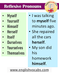 I think you meant one sentence. Reflexive Pronouns List And Examples Sentences English Vocabs