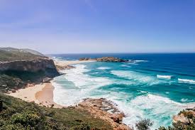 Morning safari and check out. Garden Route South Africa Road Trip Itinerary Planning Stoked To Travel