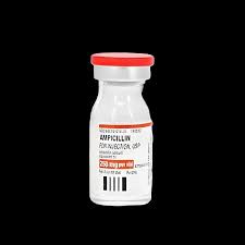 Image result for Ampicillin