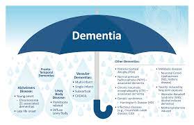 Dementia manifests as a set of related symptoms, which usually surface when the brain is damaged by injury or disease. 1 Fact Almost Everyone Gets Wrong About Dementia Positive Approach To Care