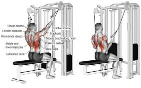 Kneeling Cable Lat Pulldown Good Back Workouts Cable Workout Back Exercises