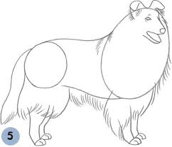 Pin By Ronda Kite On Arts Crafts Rough Collie Sheltie Dogs Dog Art