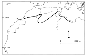 Image result for Acacia adenocalyx