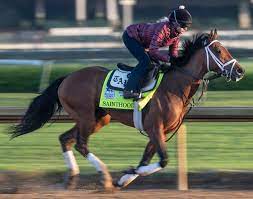 Keselowski cashes in at wild talladega relive the 2021 geico 500 in 15 minutes. Sainthood Derby Horse S Jockey Trainer Owner Bloodline More