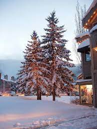 Christmas Trees In Park City Utah Park City Utah Park City Utah Winter Park City Rentals