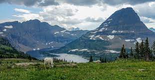 Backcountry camping glacier national park. Glacier National Park Backpacking Guide Cleverhiker