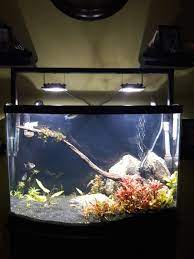 Do Led Flood Lights Work For Planted Aquarium Aquarium Advice Aquarium Forum Community