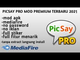 Darle vida a las imágenes en su teléfono con este galardonado editor de . Video Picsay Pro
