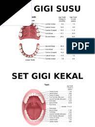 We did not find results for: Set Gigi Susu Dan Kekal