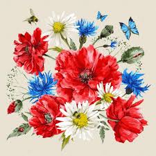 This photo is about monochrome, red flowers, rouge Resultat De Recherche D Images Pour Bouquets De Bleuets Coquelicots Et Marguerites Watercolor Bouquet Daisies Drawing Cornflower Watercolor