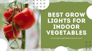 Indoor houseplants can add style and better air quality to your space. Growing Vegetables Indoors