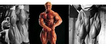 M s show n tell extreme female bodybuilding motivation. To The Extreme Building The Ultimate Bodybuilder