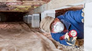 Homeadvisor's termite & pest inspection cost guide estimates the average inspection fee charged by an inspector for a new home purchase or due to a possible infestation caused by termites or other wood destroying insects (wdos). Termite Inspections Everything You Need To Know This Old House