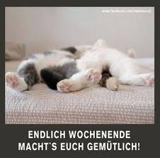 Bilder Fur Whatsapp Kostenlos Downloaden Whatsapp Status Bilder Schones Wochenende Lustig Lustige Bilder Wochenende Lustig Wenn du das liest verschwendest du deine zeit!