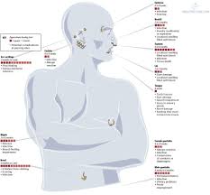 Whole Body Piercing Chart And Link To Website With More Info