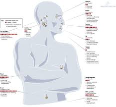 whole body piercing chart and link to website with more info