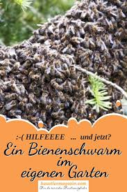 Einfach den nächsten imker anrufen, dieser kann auf jeden fall weiterhelfen. Bienenschwarm Im Garten Was Tun Haustiermagazin Bienenschwarm Garten Bienen