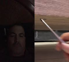 Can You Hold The Light Still Cat