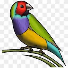 Mungkin ada yang belum tahu bagaimana cara mencari dengan gambar di google misalnya kamu punya gambar orang. Lovebird Goose Cockatiel Poetry Bird Drawing With Flower Clipart 3913187 Pikpng