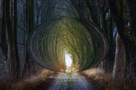 İçi dolu bir mutfak dolabı rüya sahibinin elinin asla dara düşmeyeceğini, evinde her zaman bereketin bol olacağını ve maddi olarak sürekli kazanan biri haline geleceğini işaret eder. 31 Ruyada Beyaz Mutfak Tezgahi Gormek Resimler En Son Ev Modelleri