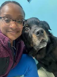 Remembering adopted dog brutus